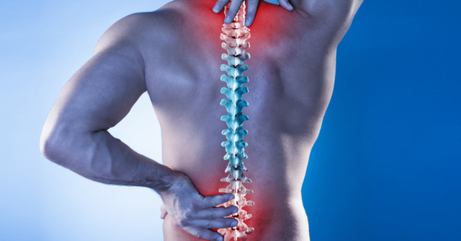 September Newsletter: How Your Chiropractor Can Help with Chronic Pain image