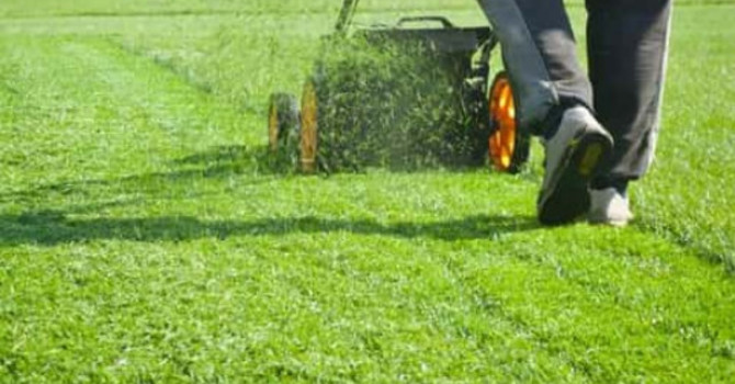 Prevent Back Pain While Doing Yard Work image